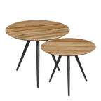 Jailey Bijzettafel - Set van 2 - H49 x Ø50 cm - Gerecycled Hout - Bruin