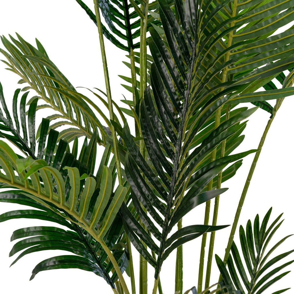 Areca Palm - Groen, PE Kunststof/Polyester, 64x64x175 cm