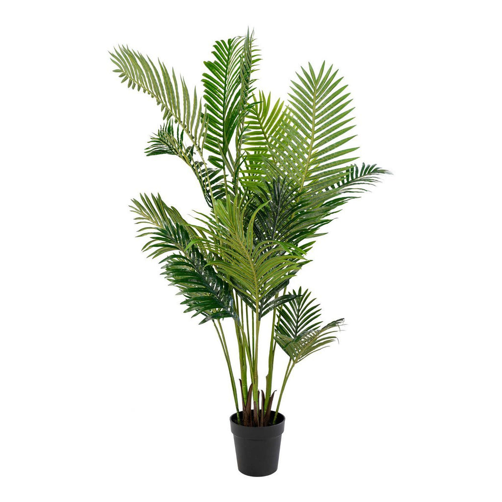 Areca Palm - Groen, PE Kunststof/Polyester, 64x64x175 cm