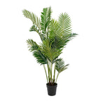 Areca Palm - Groen, PE Kunststof/Polyester, 64x64x175 cm