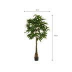 Pachira Kunstplant - H150 x Ø65 cm - Groen